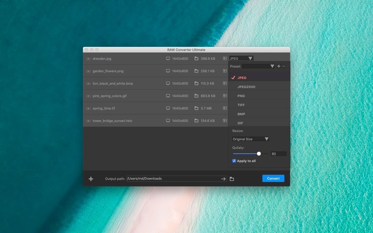 RAW Converter Ultimate screenshot 3